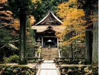 光前寺の写真